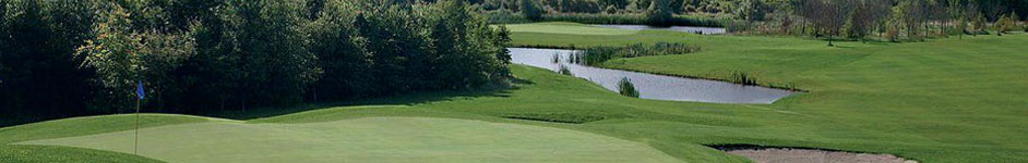 Ballyneety Golf Club, memberships